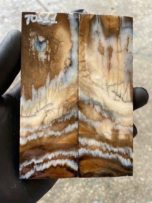 Mammoth Tooth Knife Handle Scales Stabilized Pair 5.19-1.81-0.43 inch TOS11