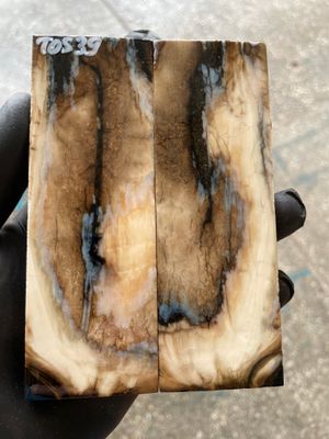 Mammoth Tooth Knife Handle Scales Stabilized Pair 5.19-1.77-0.39 inch TOS39