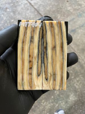 Mammoth Tooth Knife Scale Stabilized Pair for Pocket Knife 3.66-1.33-0.27 inch MTT104