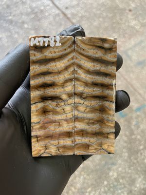 Mammoth Tooth Knife Scale Stabilized Pair for Pocket Knife 3.66-1.33-0.27 inch MTT82