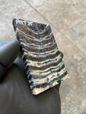 Mammoth Tooth Knife Scale Stabilized Pair for Pocket Knife 3.66-1.33-0.27 inch MTT95