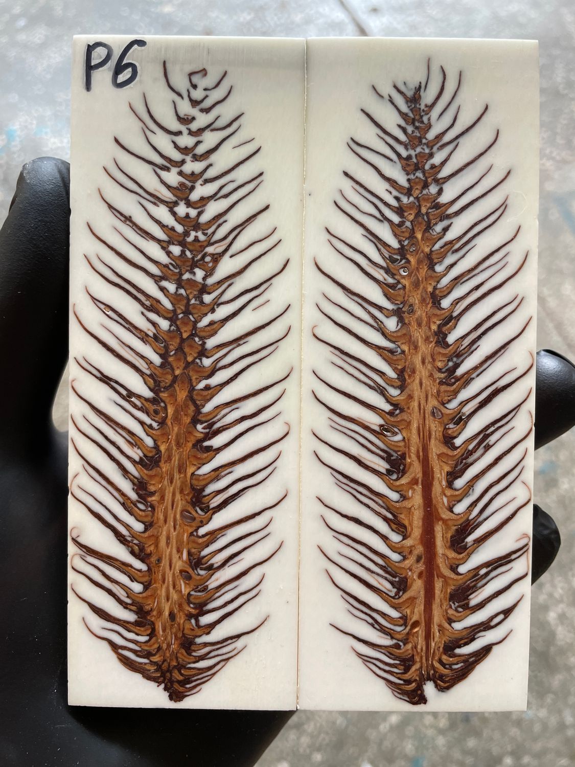 Pinecone Resin Knife Scales Stabilized Pair - Handle Material 5.19-1.73-0.43inch P6