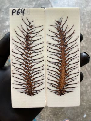 Pinecone Resin Knife Scales Stabilized Pair - Handle Material 5.19-1.73-0.43inch P64