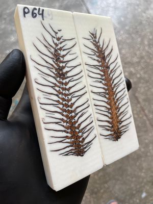 Pinecone Resin Knife Scales Stabilized Pair - Handle Material 5.19-1.73-0.43inch P64