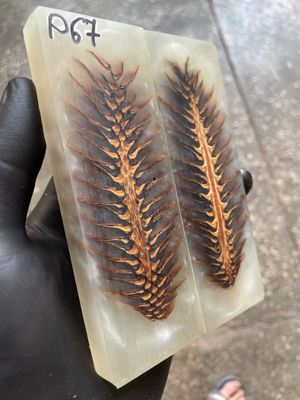 Pinecone Resin Knife Scales Stabilized Pair - Handle Material 5.19-1.73-0.43inch P67