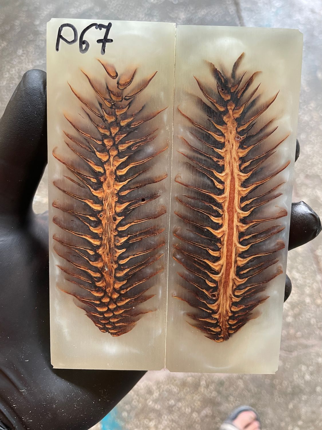 Pinecone Resin Knife Scales Stabilized Pair - Handle Material 5.19-1.73-0.43inch P67