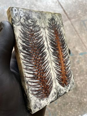 Pinecone Resin Knife Scales Stabilized Pair - Handle Material 5.19-1.73-0.43inch P8