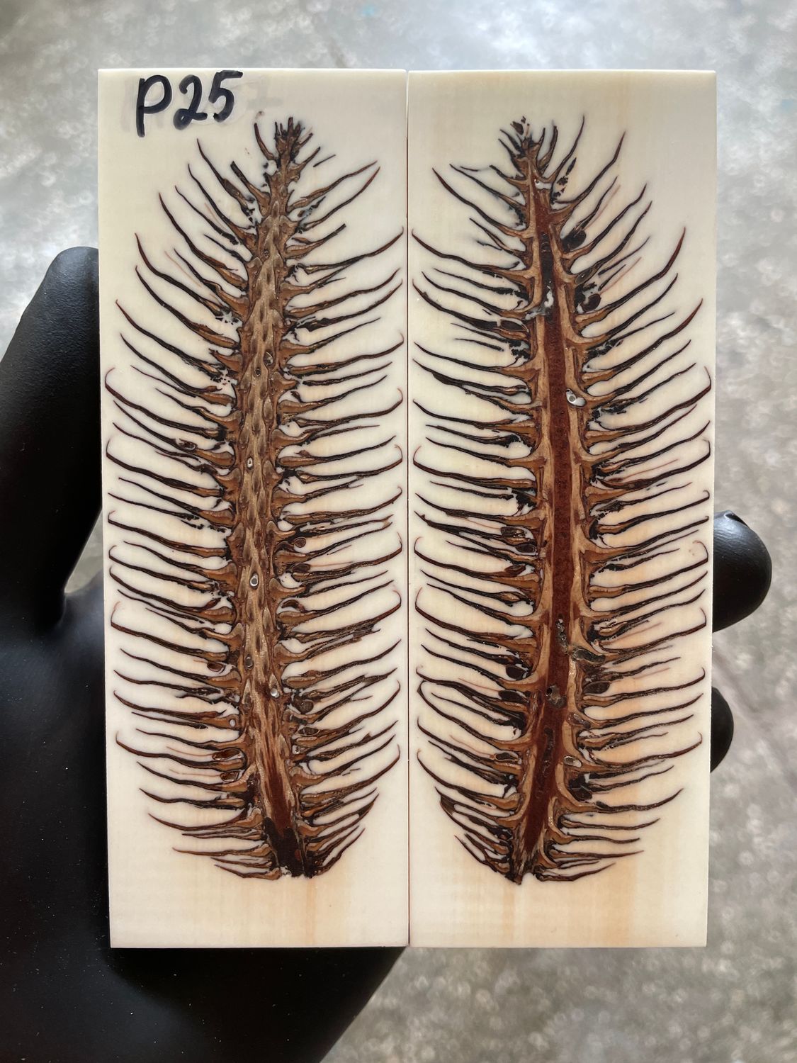Pinecone Resin Knife Scales Stabilized Pair - Handle Material 5.19-1.73-0.43inch P25