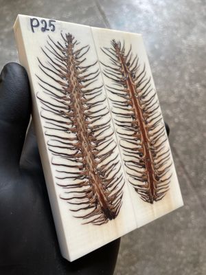 Pinecone Resin Knife Scales Stabilized Pair - Handle Material 5.19-1.73-0.43inch P25