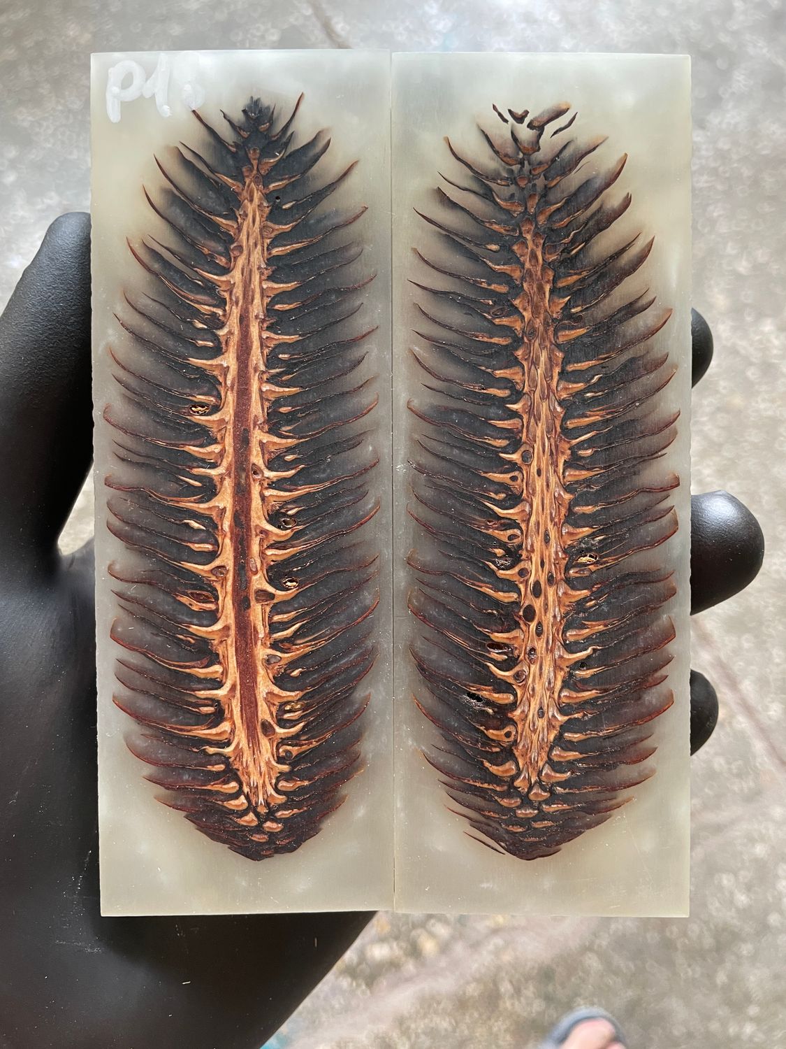 Pinecone Resin Knife Scales Stabilized Pair - Handle Material 5.19-1.73-0.43inch P18