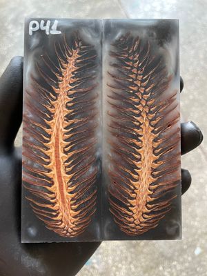 Pinecone Resin Knife Scales Stabilized Pair - Handle Material 5.19-1.73-0.43inch P41