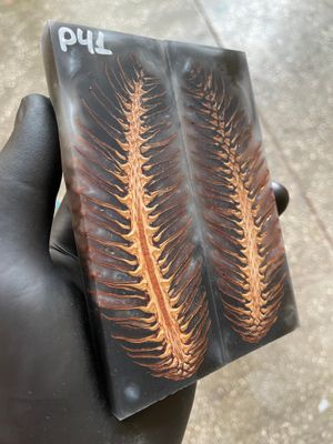 Pinecone Resin Knife Scales Stabilized Pair - Handle Material 5.19-1.73-0.43inch P41