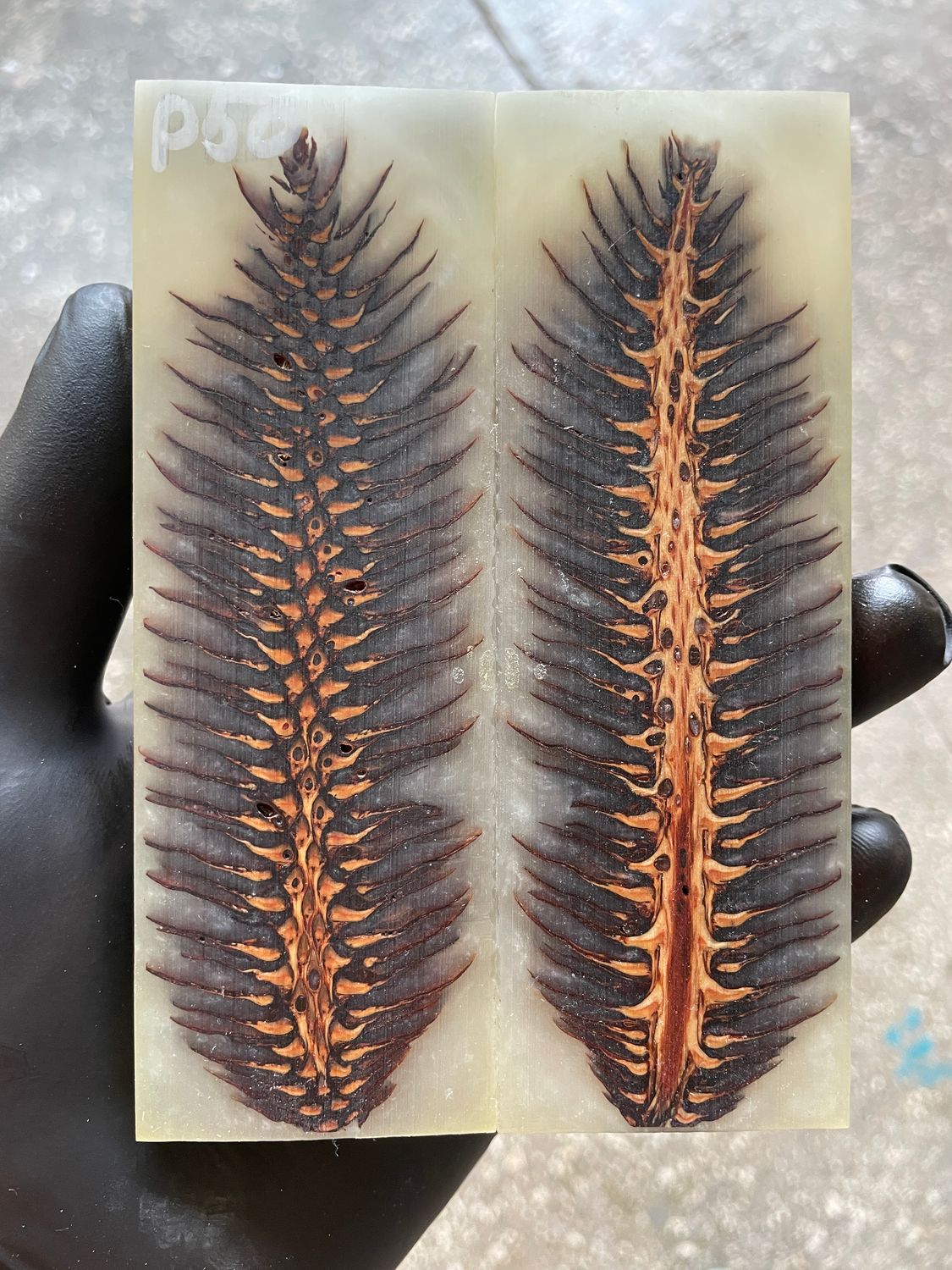 Pinecone Resin Knife Scales Stabilized Pair - Handle Material 5.19-1.73-0.43inch P50