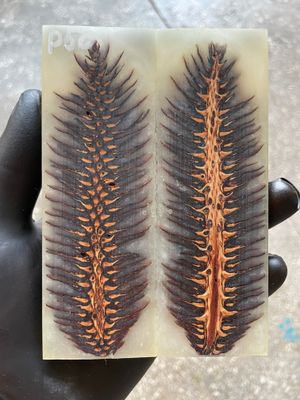 Pinecone Resin Knife Scales Stabilized Pair - Handle Material 5.19-1.73-0.43inch P50