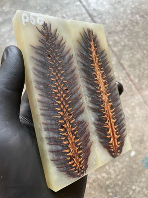 Pinecone Resin Knife Scales Stabilized Pair - Handle Material 5.19-1.73-0.43inch P50