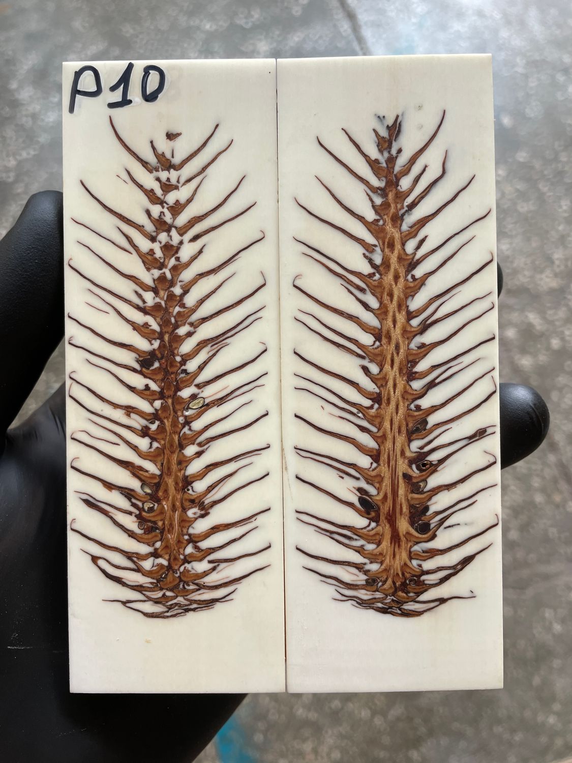 Pinecone Resin Knife Scales Stabilized Pair - Handle Material 5.19-1.73-0.43inch P10