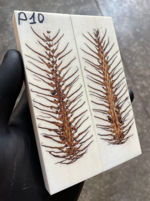Pinecone Resin Knife Scales Stabilized Pair - Handle Material 5.19-1.73-0.43inch P10