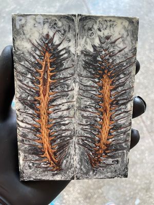 Pinecone Resin Knife Scales Stabilized Pair - Handle Material 5.19-1.73-0.43inch P59