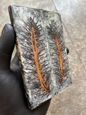 Pinecone Resin Knife Scales Stabilized Pair - Handle Material 5.19-1.73-0.43inch P59