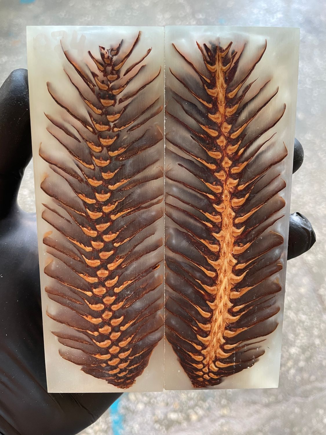 Pinecone Resin Knife Scales Stabilized Pair - Handle Material 5.19-1.73-0.43inch P74