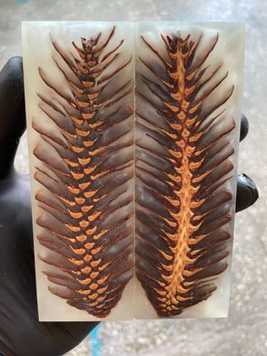 Pinecone Resin Knife Scales Stabilized Pair - Handle Material 5.19-1.73-0.43inch P74