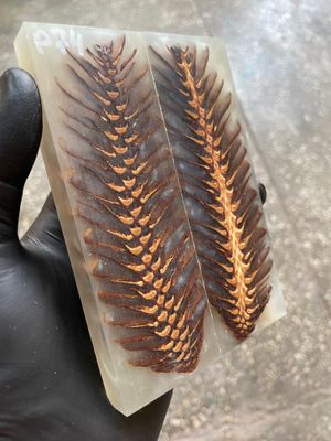 Pinecone Resin Knife Scales Stabilized Pair - Handle Material 5.19-1.73-0.43inch P74
