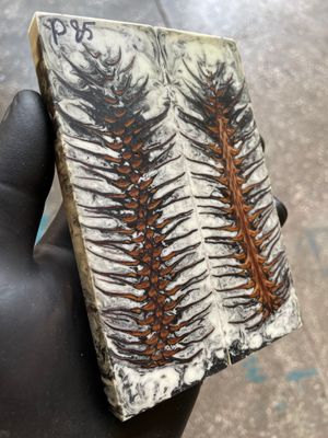 Pinecone Resin Knife Scales Stabilized Pair - Handle Material 5.19-1.73-0.43inch P85
