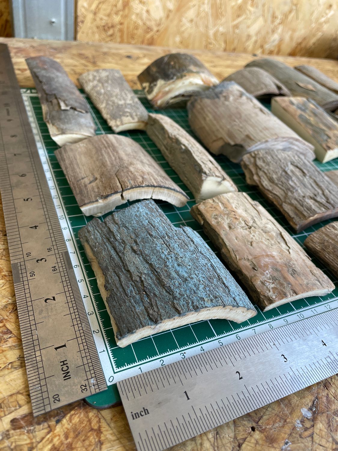 Natural woolly mammoth tusk bark pieces – mixed sizes, thicknesses and fossil colors