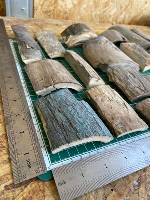 Natural woolly mammoth tusk bark pieces – mixed sizes, thicknesses and fossil colors