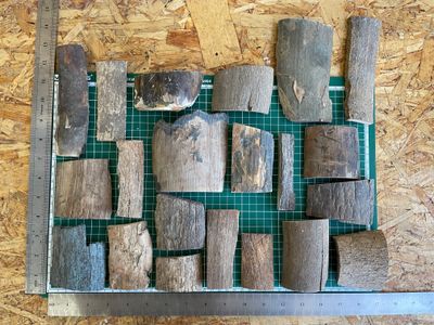 Mammoth tusk bark offcuts assorted natural fossil ivory pieces for knife making and crafts