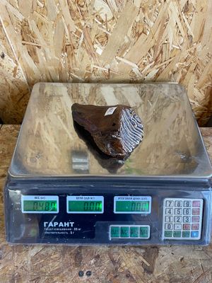 Real mammoth tooth fossil Ice Age specimen raw natural prehistoric tooth