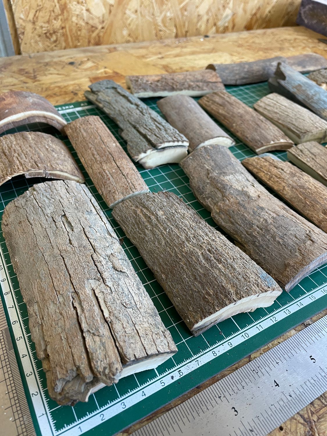 Woolly Mammoth Tusk Bark Offcuts – 4.28 lb Mixed Craft Lot OBBOX5