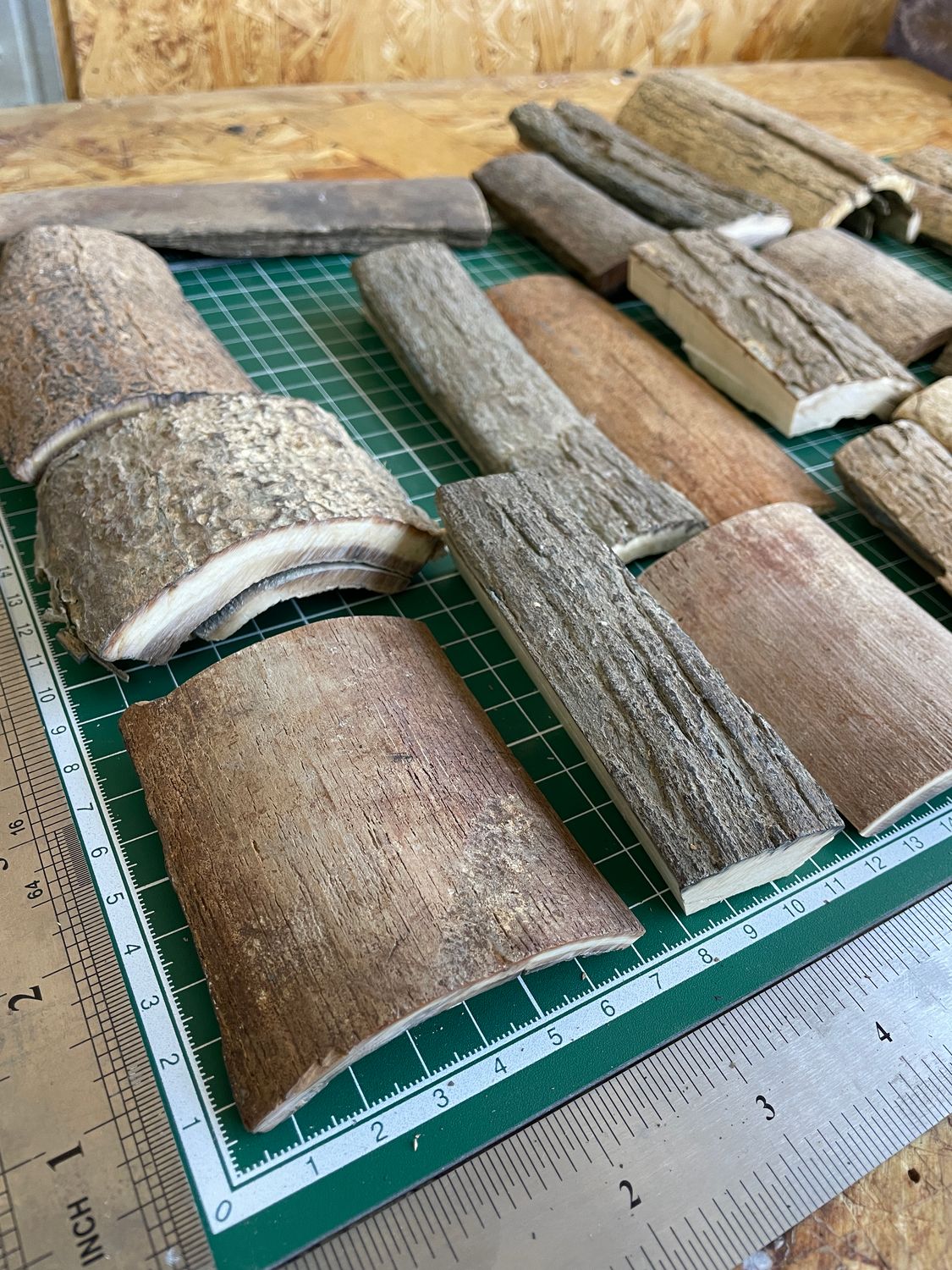 Natural woolly mammoth tusk bark pieces – mixed sizes, thicknesses and fossil colors