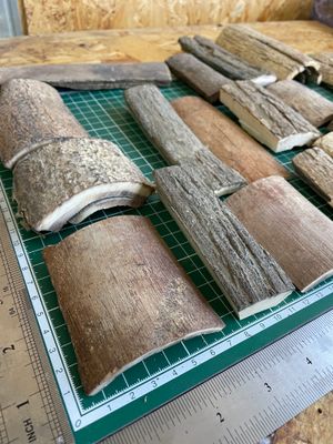 Natural woolly mammoth tusk bark pieces – mixed sizes, thicknesses and fossil colors