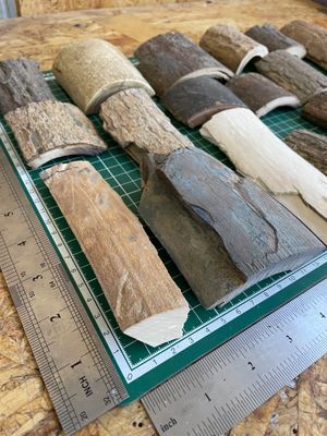 Natural woolly mammoth tusk bark pieces – mixed sizes, thicknesses and fossil colors