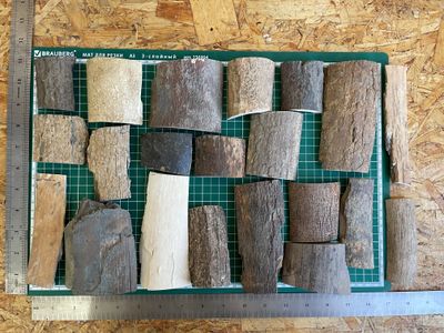 Mammoth tusk bark offcuts assorted natural fossil ivory pieces for knife making and crafts