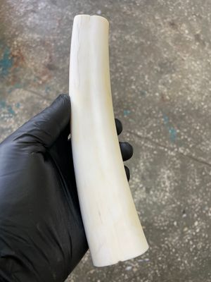 Walrus Tusk Block for Scrimshaw Carving Knife Handle Material 0.88 lb W31