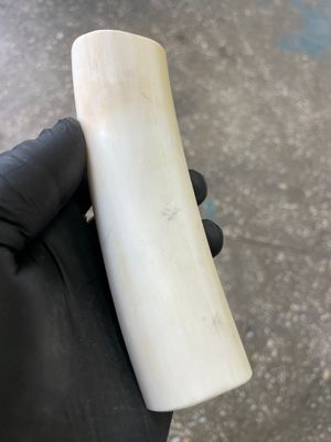 Walrus Tusk Block for Scrimshaw Carving Knife Handle Material 0.52 lb W35