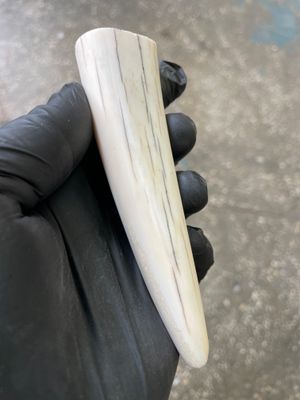 Walrus Tusk Block for Scrimshaw Carving Knife Handle Material 0.19 lb W41