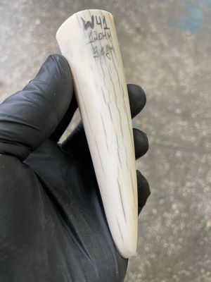 Walrus Tusk Block for Scrimshaw Carving Knife Handle Material 0.19 lb W41