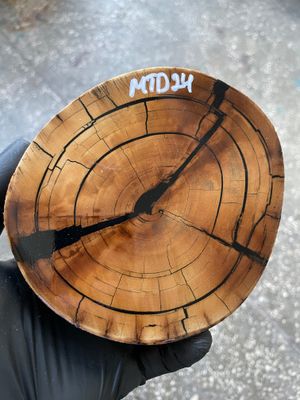 Mammoth Tusk Disk Cross Cut Stabilized Fossil Slab for Knifemaking MTD24