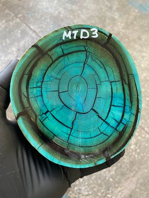 Mammoth Tusk Disk Cross Cut Stabilized Fossil Slab for Knifemaking MTD3