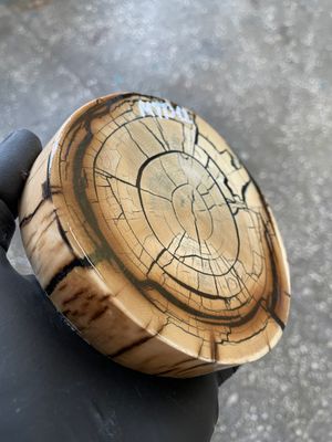 Mammoth Tusk Disk Cross Cut Stabilized Fossil Slab for Knifemaking MTD12