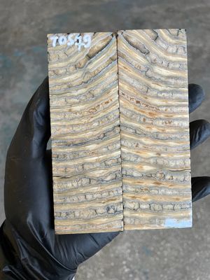 Mammoth Tooth Knife Handle Scales Stabilized Pair 5.23-1.81-0.39 inch TOS79