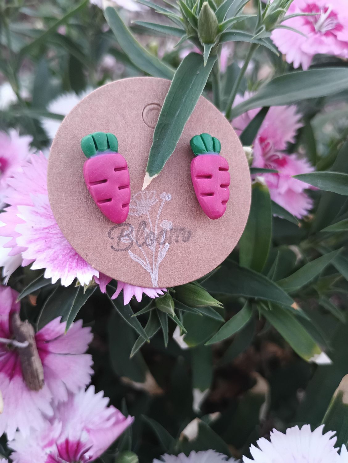Rainbow Carrot Studs in Burgundy
