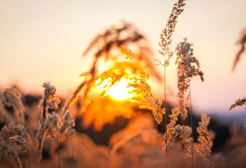 Yin Yoga - Rückzug & Loslassen 01.11.2025