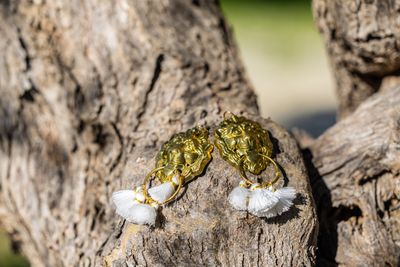 Bocche di Leone