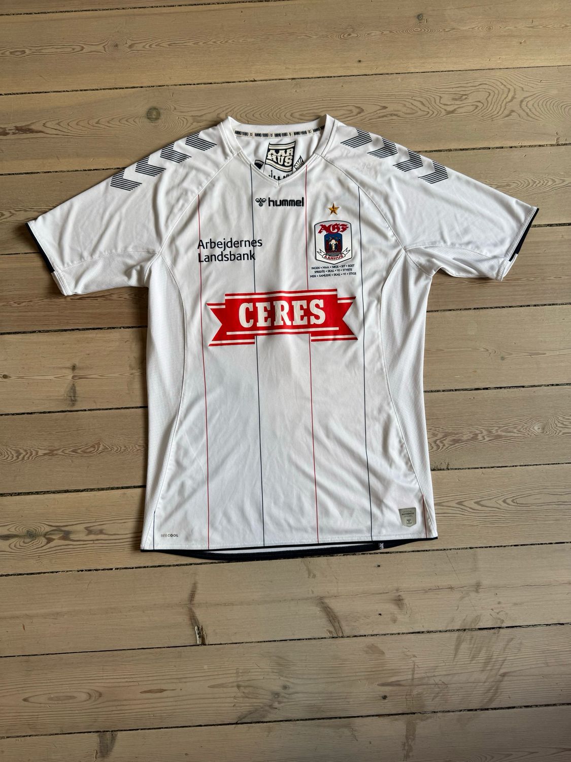 AGF hjemmebane 2019/20 - Large