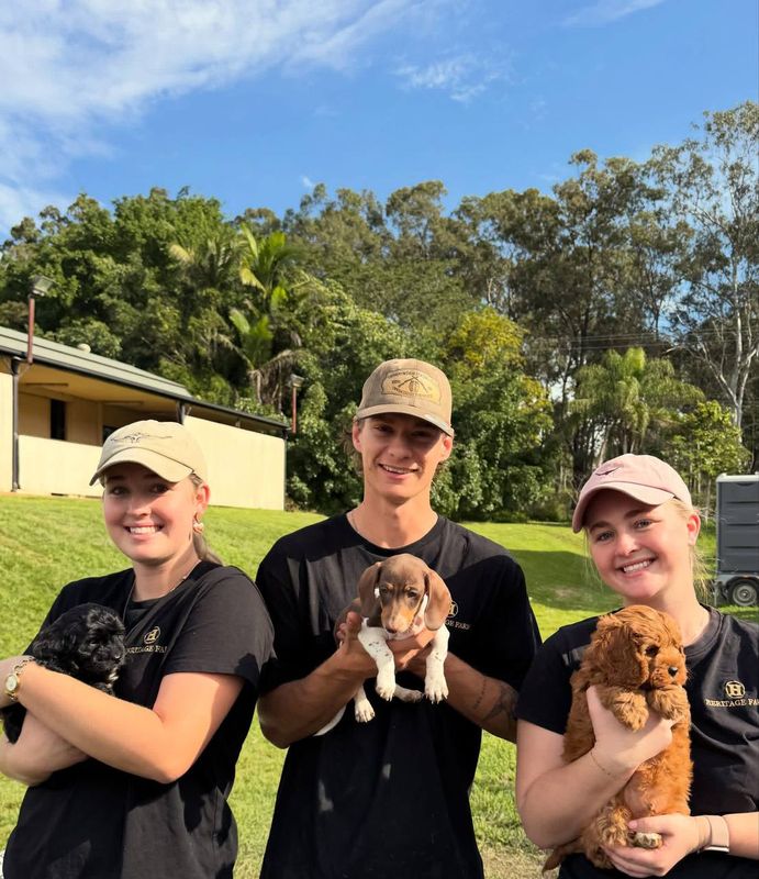 PUPPIES