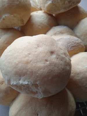 Bruine of witte speltpistoleetjes 15 stuks